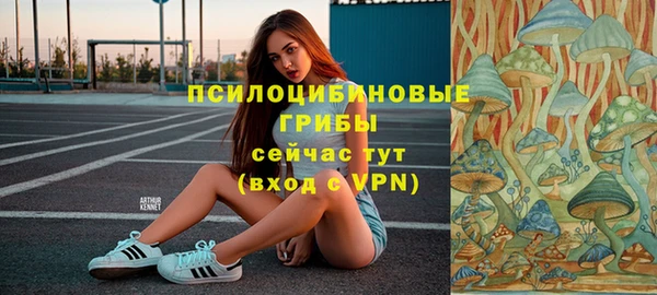 индика Алексеевка