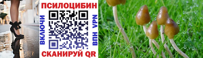 наркошоп Усть-Илимск Псилоцибиновые грибы MAGIC MUSHROOMS