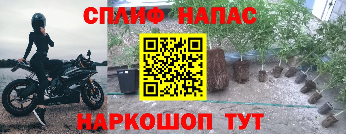 Канабис Amnesia  Конопля AK-47  Усть-Илимск  Вход с VPN 